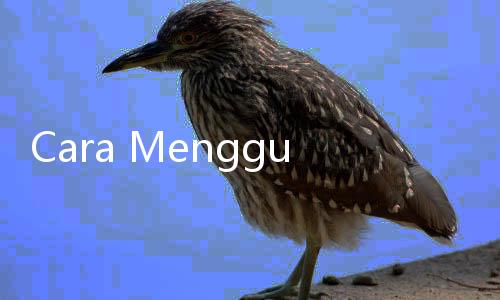 Cara Menggunakan E